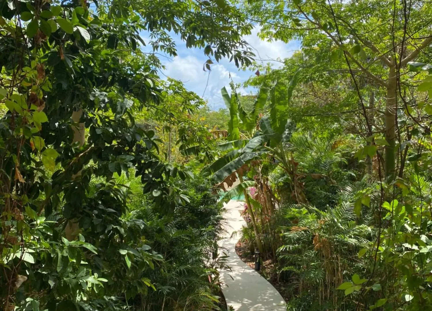 Private Apartment At The Top Tulum